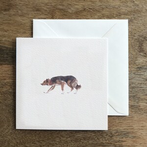 Carte de voeux de chien de berger de troupeau de border collie - art d'illustration de luxe dessiné à la main - intérieur vide pour l'anniversaire, bonne chance