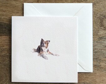 Border Collie Working Sheep Dog Greeting Card - Hand-drawn Luxury Illustration Art - Blank Inside for Birthday, Good Luck