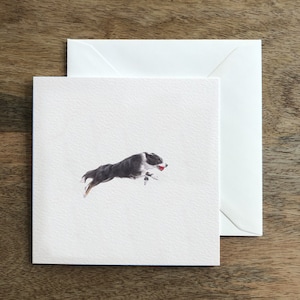 Border Collie Flyball Sheep Dog Biglietto di auguri - Illustrazione artistica di lusso disegnata a mano - Interno vuoto per compleanno, buona fortuna
