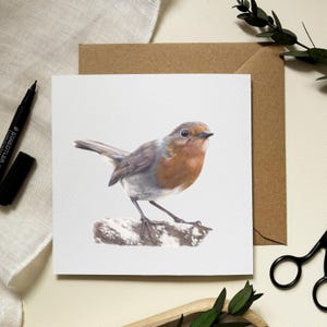 Cartão de saudação Robin - Ilustração de vida selvagem por artista de retratos de animais de estimação - Alison Chinn - Interior em branco para mensagem própria