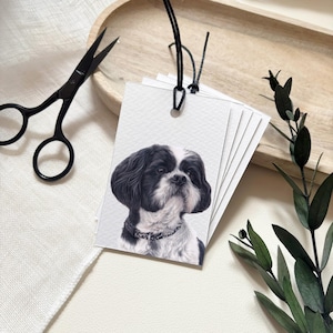 Étiquettes cadeaux Shih Tzu - Illustration de chien par l'artiste portraitiste d'animaux de compagnie - Alison Chinn - Espace vierge pour votre propre message