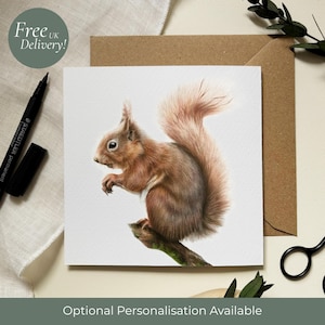 Red Squirrel Greeting Card: Wildlife Portrait Art by Alison Chinn