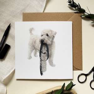 Softcoated Wheaten Terrier-hondwenskaart - Alison Chinn handgetekende luxe illustratiekunst - blanco binnenkant voor verjaardag, geluk