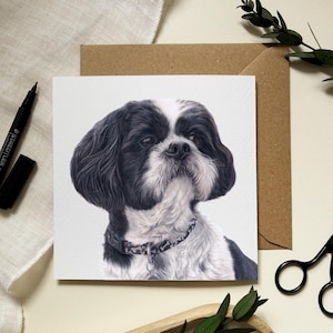 Cartão de felicitações Shih Tzu - Ilustração de cachorro por artista de retratos de animais de estimação - Alison Chinn - Em branco por dentro para sua própria mensagem