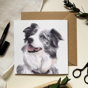 Bordercollie Merle-wenskaart - hondillustratie door huisdierportretkunstenaar - Alison Chinn - blanco binnenkant voor eigen bericht
