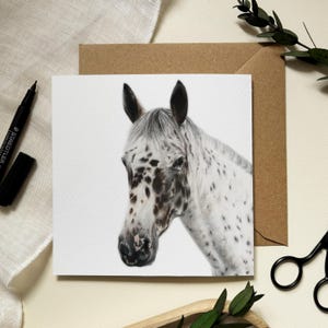 Appaloosa Spotty Horse Grußkarte - Illustration von Haustier Künstlerin Alison Chinn - leere Innenseite für eigene Nachricht