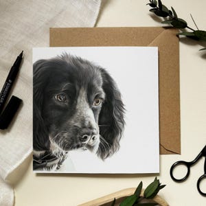 Tarjeta de felicitación con un cocker spaniel blanco y negro. Ilustración de perro realizada por la artista de retratos de mascotas Alison Chinn. Interior en blanco para escribir un mensaje.