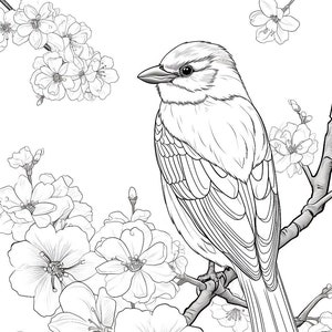 Two Coloring Pages Downloadable JPG 300dpi Commercial license. Use for physical products - unlimited