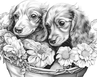 Coloring Page for Adults Downloadable Printable.  Two dachshund puppies in a gift basket CP-20240117 Commercial license