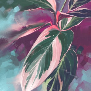 Triostar, Plants, Houseplant, Stromanthe, Calathea, Flower, Green, Nature, Oil Painting Print, 8x10 inches, 11x14 inches, Landscape Painting