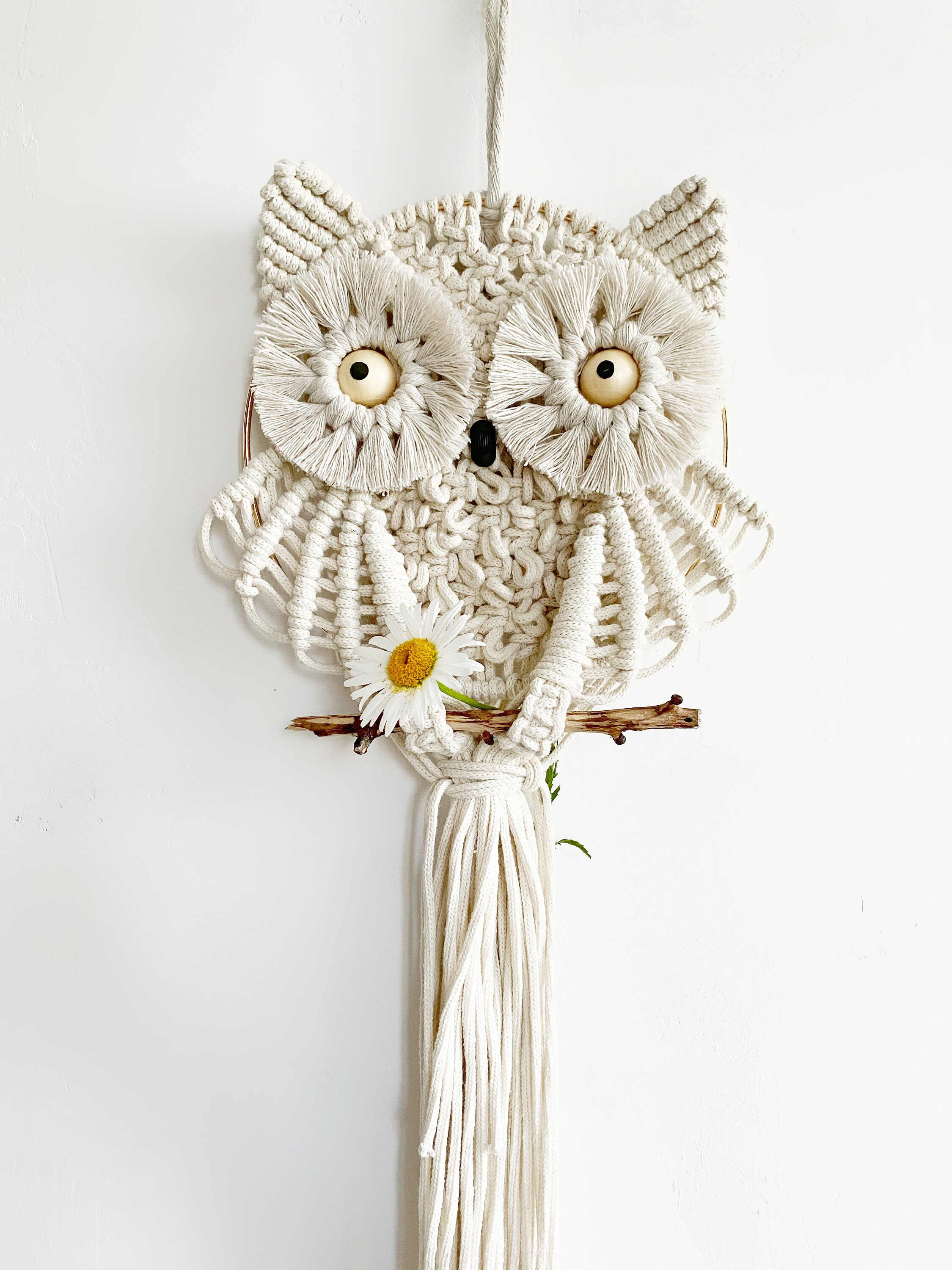 I Crocheted This Owl Wall Hanging Somethingimade 007