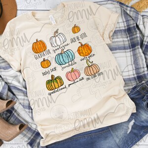 Fall Pumpkins PNG, Pumpkin Varieties