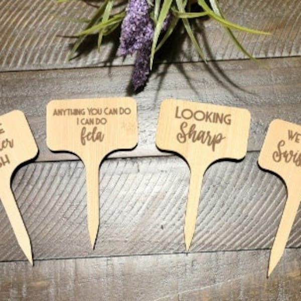 Wooden Cheese Picks-Funny Charcuterie Board Markers-Funny Party Food Picks-Funny Cheese Picks-Wedding-Shower-Cheese Markers-Party Food Label