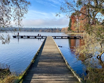 Bellissimo lago verde a Seattle, Washington