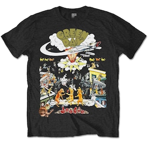 Green Day Dookie 1994 Tour Shirt Authentic