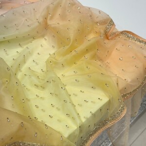 3PC Handmade Fancy Organza Dress with Beads & Moti Work