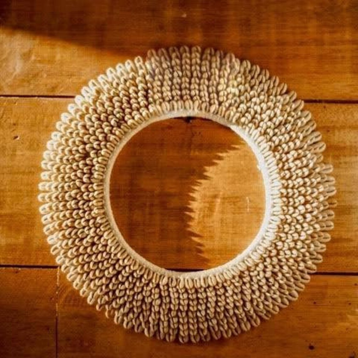 Cowrie Shell Wall Art Etsy