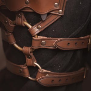 May include: Brown leather straps with metal rings and studs, forming a decorative harness or belt. The straps are crisscrossed and fastened with buckles.