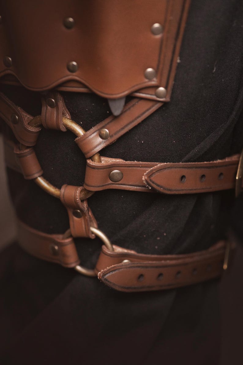 May include: Brown leather straps with metal rings and studs, forming a decorative harness or belt. The straps are crisscrossed and fastened with buckles.