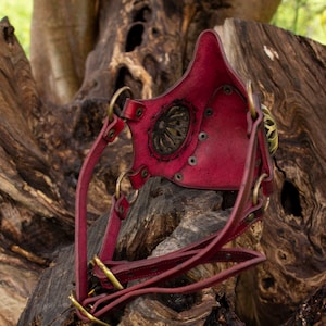 May include: A red leather steampunk mask with brass accents and straps. The mask has a decorative design on the front and is worn over the face.