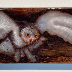 Flying Snowy Owl 2