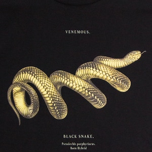 May include: Black t-shirt featuring a graphic of a black snake with the text "VENEMOUS." and "BLACK SNAKE, Pseudechis porphyriacus. Born Hybrid."