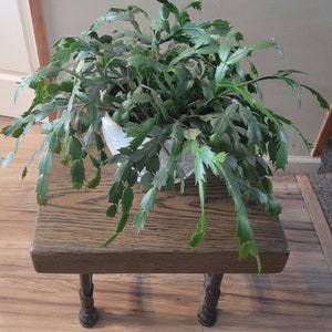 Reclaimed Barn Wood Accent Table / Side Table / Bedside / Plant Stand