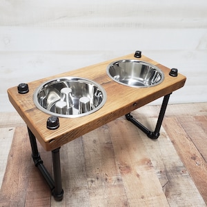 Elevated dog bowl 2025 with slow feeder