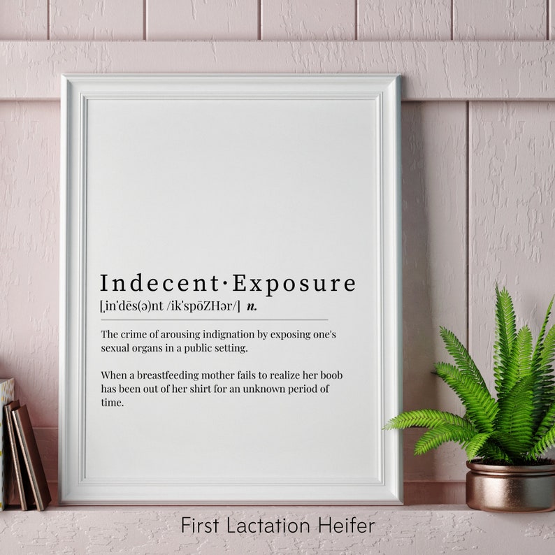 Breastfeeding Humor, Breastfeeding Art, Lactation Room, New Mom Gift