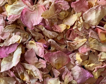 40-50 Guests Biodegradable Rose Petal Confetti | Real Flower Petal Wedding Confetti | Natural | Loose Petals