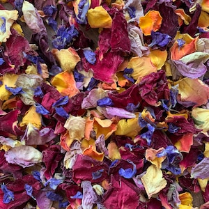 1 Litre LARGE Biodegradable Rose Petal Confetti | Real Flower Petal Wedding Confetti | Natural | 1 Litre | Rainbow Rose Petal Mix