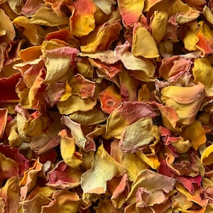 1 Litre LARGE Biodegradable Rose Petal Confetti | Real Flower Petal Wedding Confetti | Natural | 1 Litre | Sun Kissed Rose Petal