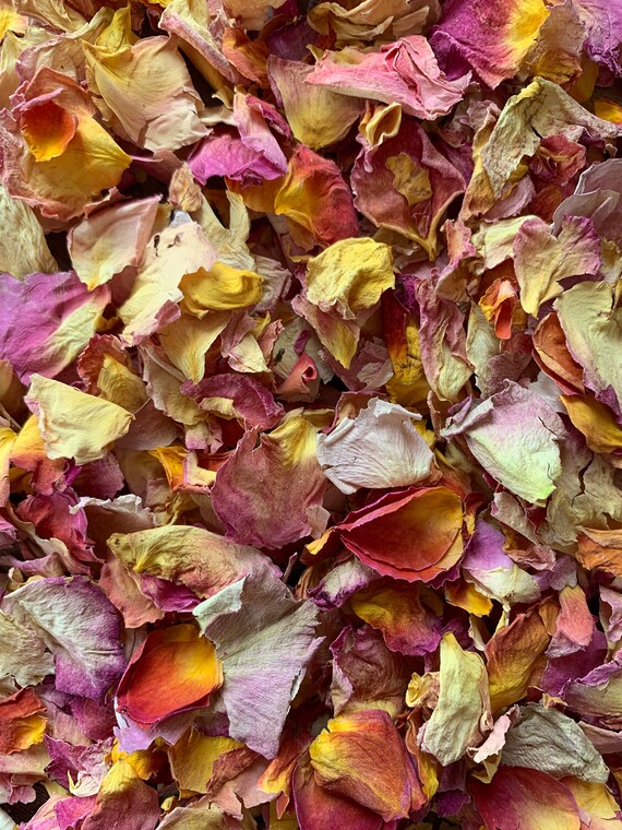 5 Litres LARGE Biodegradable Rose Petal Confetti Real Flower Etsy Australia