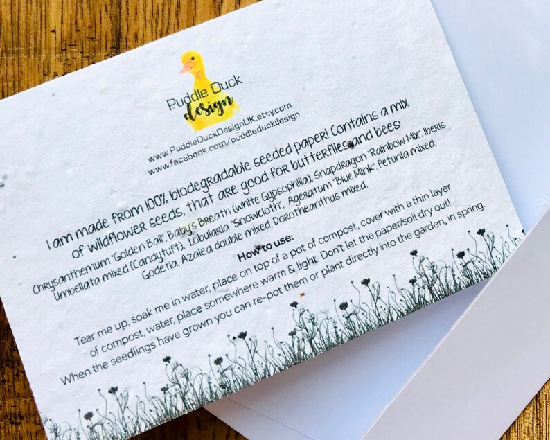 Plantable Seed Paper Greetings Card Wildflower Eco Recycled Etsy UK