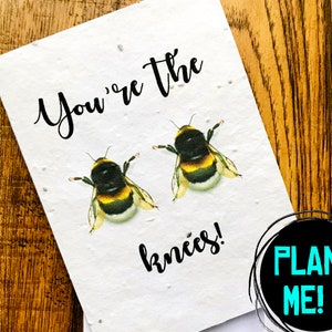 Birthday card, Anniversary card, Valentines card, Birthday card for him, Birthday card for her, Plantable Seed Paper, Bees birthday card