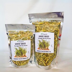Ganzengras Paragisplant Eleusine Indicakruid Natuurlijke biologische gedroogde ayurvedische hebs
