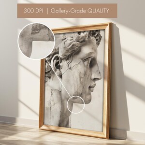 May include: A framed print featuring a grayscale image of a classical sculpture's profile. The artwork is in a wooden frame, with the text "300 DPI | Gallery-Grade QUALITY" at the top. The print has a detailed, aged appearance.