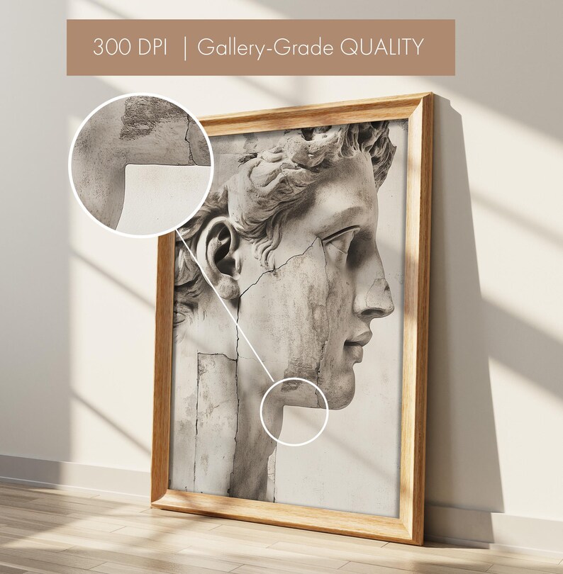 May include: A framed print featuring a grayscale image of a classical sculpture's profile. The artwork is in a wooden frame, with the text "300 DPI | Gallery-Grade QUALITY" at the top. The print has a detailed, aged appearance.