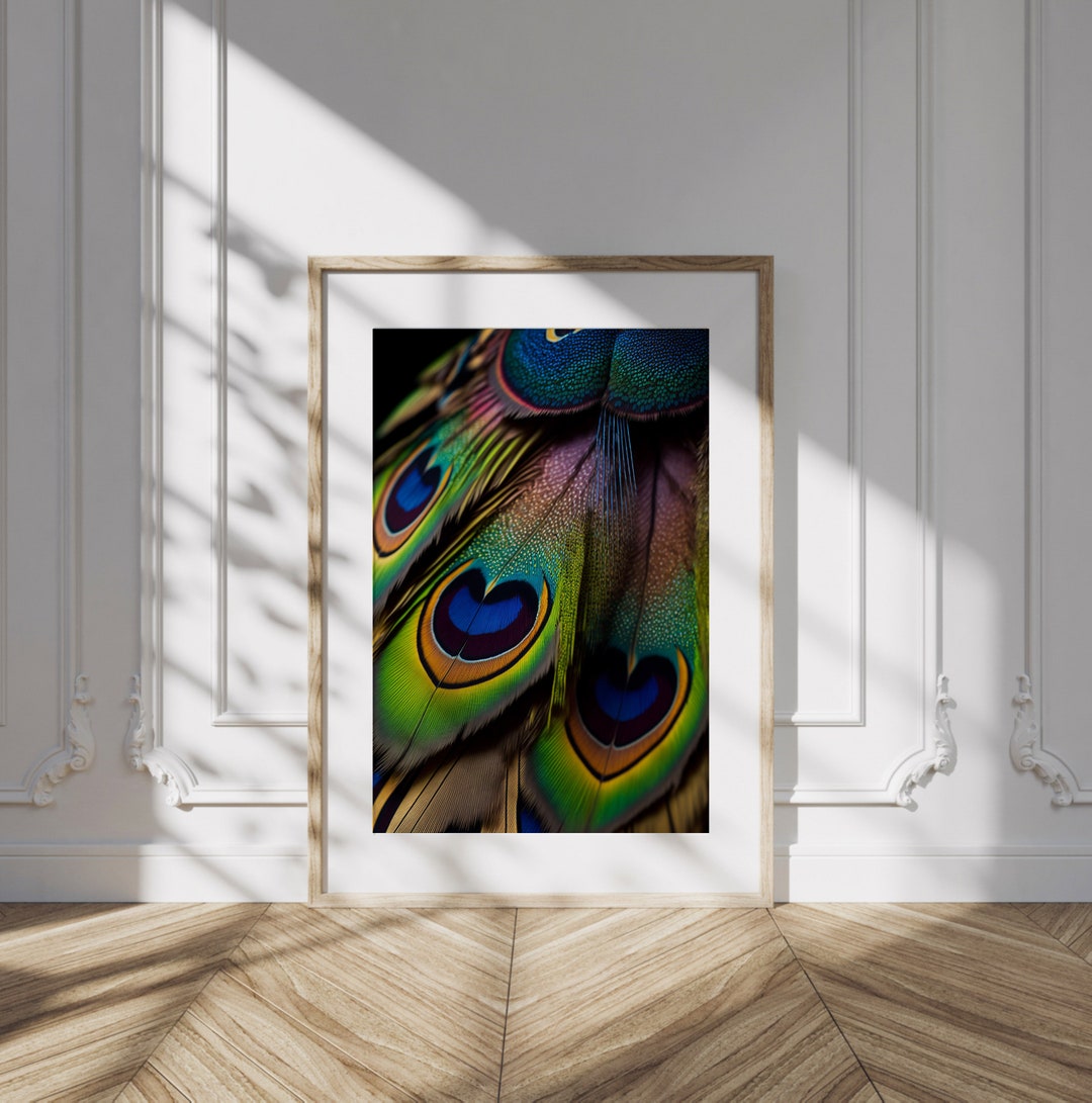 Peacock Feathers Wall Art Exotic Decor Coastal Farmhouse Etsy