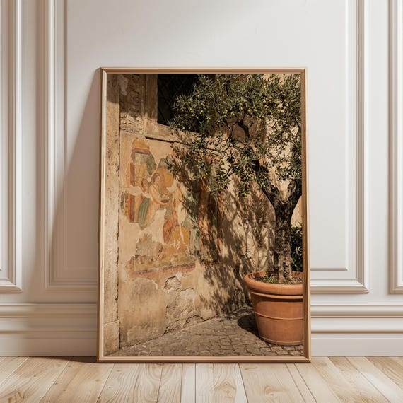 Italian Olive Tree Photograph, Mediterranean Vintage Decor (Digital Download) 174