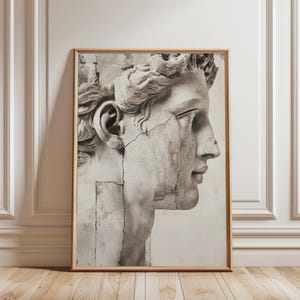 May include: A framed black and white print of a classical sculpture bust in profile. The artwork depicts a male figure with detailed facial features and curly hair, with visible cracks in the stone. The print is in a wooden frame.