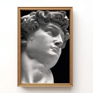 David Statue Print, Aesthetic Room Decor, Print David, Rome statue, Wall Decor, Greek mythology art, Bust statue, Marble Sculpture