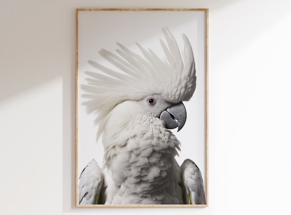 White cockatoo Print, Printable White Parrot Wall Art, Digital Download, Bird Poster, Photography, Cacatua alba