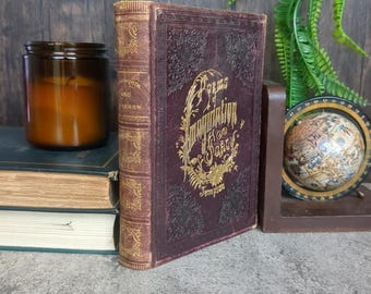 Poems of Imagination and Fancy Alfred Tennyson 1881 - W. S. Burlock & Company - Illustrated