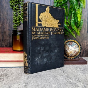 Madame Bovary by Gustave Flaubert - Illustrated by John Austen - Vintage Classic Literature