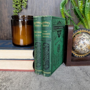 Tanglewood Tales and the Wonder Book Nathaniel Hawthorne 1879 - Re-Written Greek Myths for Children - Antique Children&#39;s Book