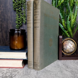 The Book of Birds 2 Volumes National Geographic Society 1937 - Illustrated by Major Allan Brooks- Antique Book of Birds - Bird Watching Book