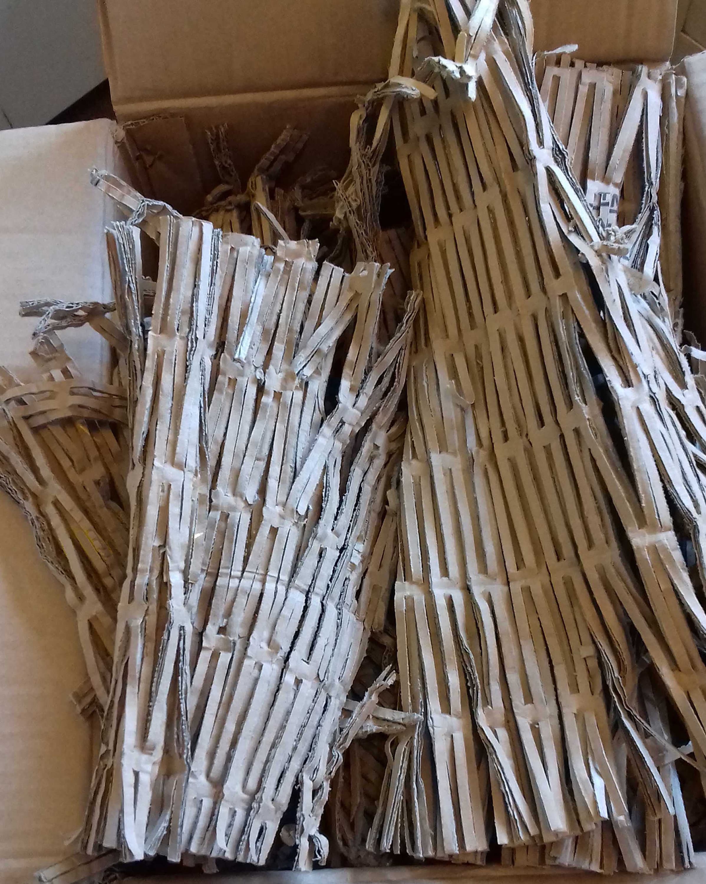 Cajas de cartón en Piedras Negras - Cardboard boxes and cardboard