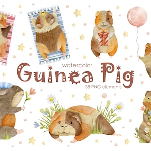 Watercolor Guinea Pig Clipart: Baby Animal PNG Images (Instant Download)