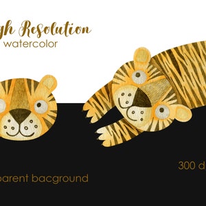 May include: Two watercolour illustrations of tigers. One tiger is a full body illustration of a tiger lying on its belly with its paws outstretched. The other tiger is a close-up of a tiger's face. Both tigers are yellow and orange with black stripes. The text "High Resolution watercolour" and "transparent background" are visible in the image.